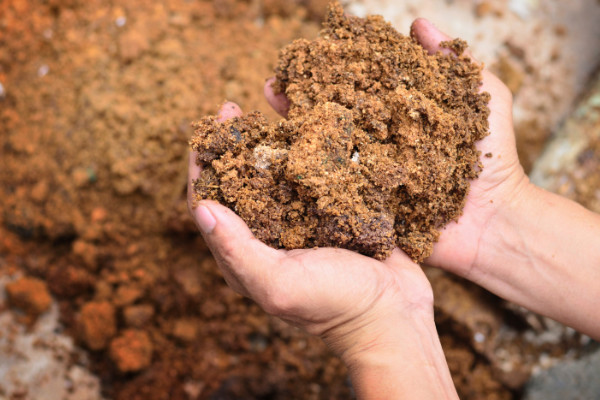 Soil