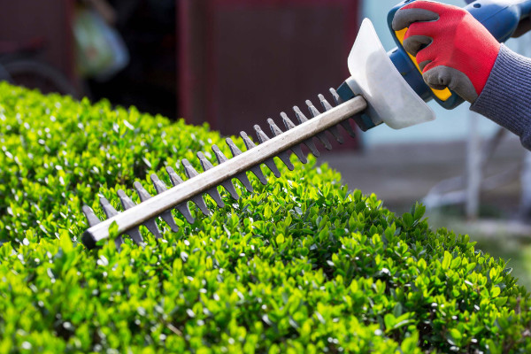 Trimming